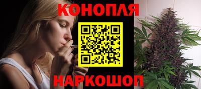 стаф Камышлов
