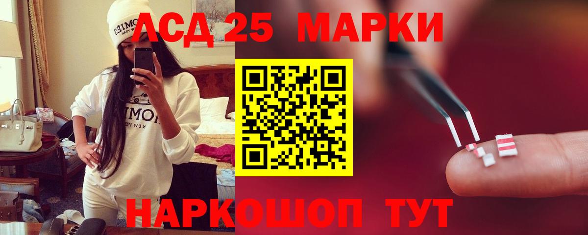 Псилоцибиновые грибы Чернушка
