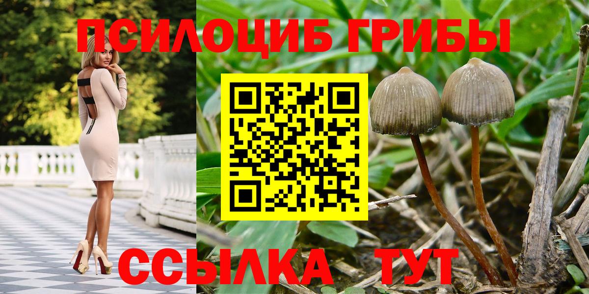 Галлюциногенные грибы MAGIC MUSHROOMS Чернушка