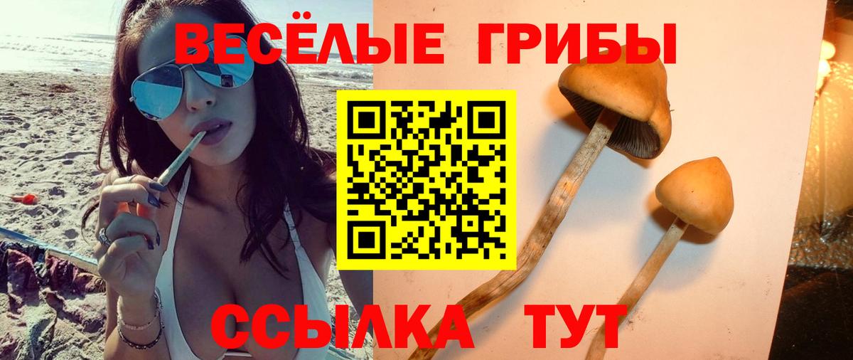 Галлюциногенные грибы мухоморы  Вход с VPN  где можно купить наркотик  Чернушка 